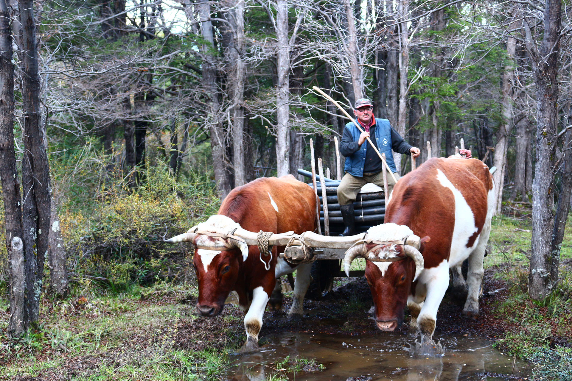 nativo-expediciones-futaleufu_turismo_ruraljpg