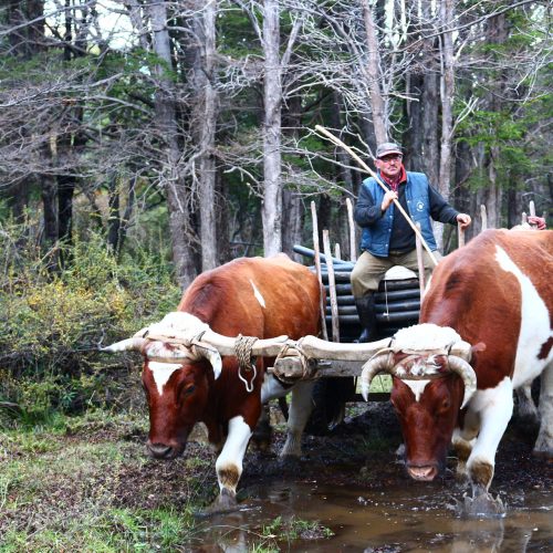nativo-expediciones-futaleufu_turismo_ruraljpg.jpg